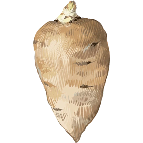 Patate e topinambur