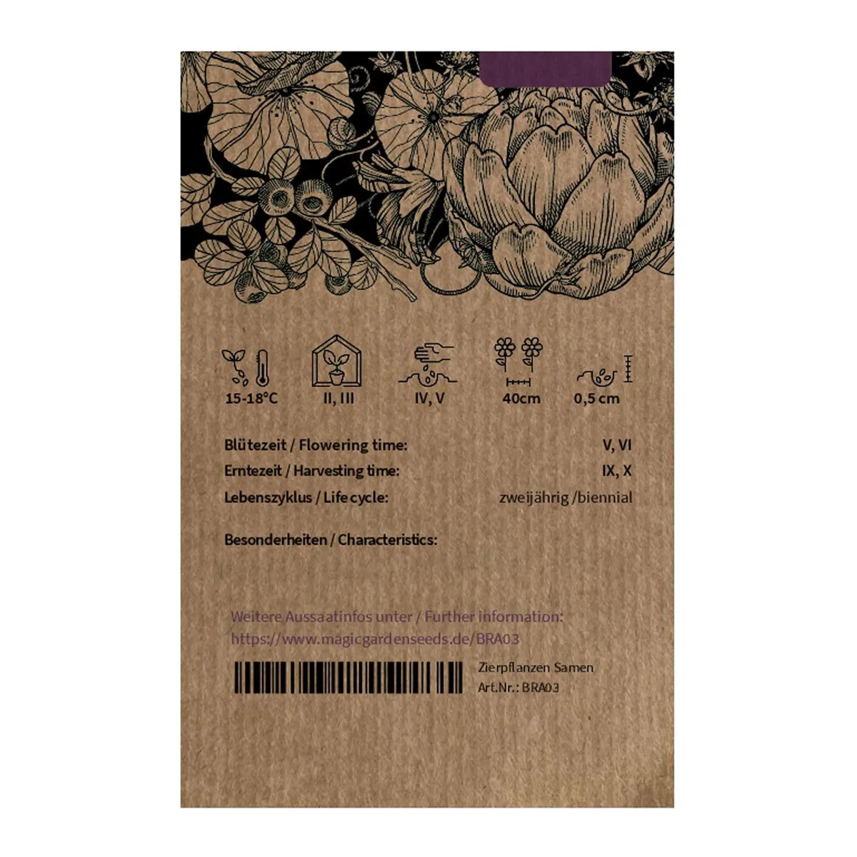 Spitzkohl 'Filderkraut' (Brassica oleracea) Samen