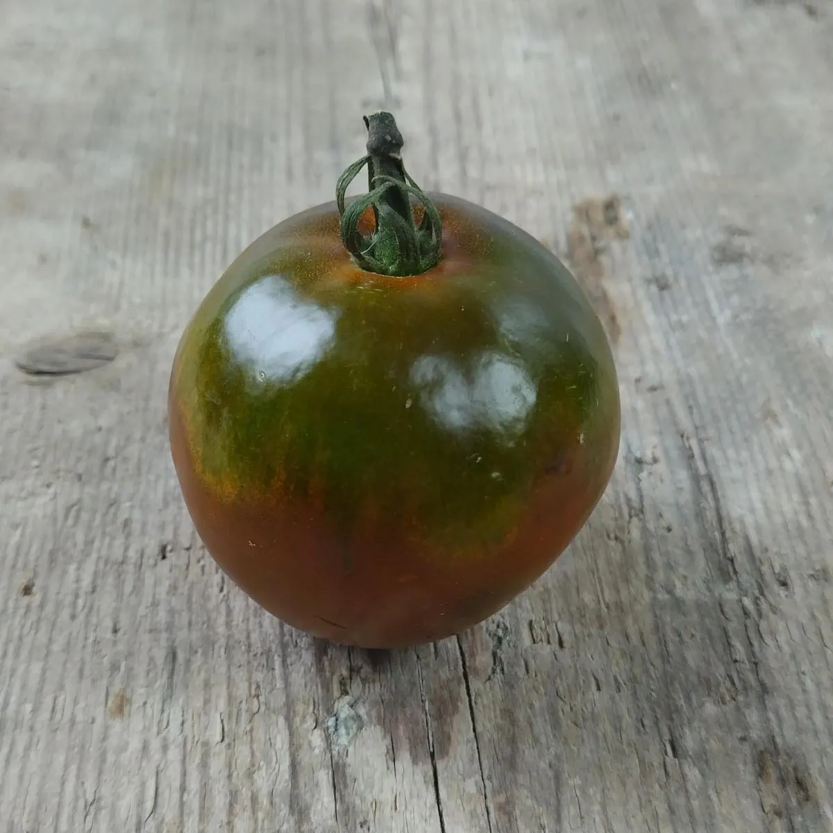 Tomate 'Schwarze Krim' (Solanum lycopersicum) Samen