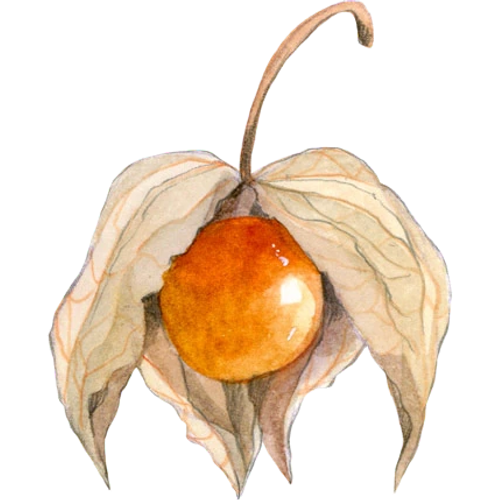 Frutti esotici