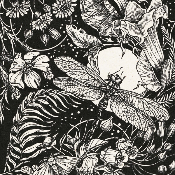 Illustrazione in bianco e nero: libellula davanti alla luna piena tra fiori, felci e una falena