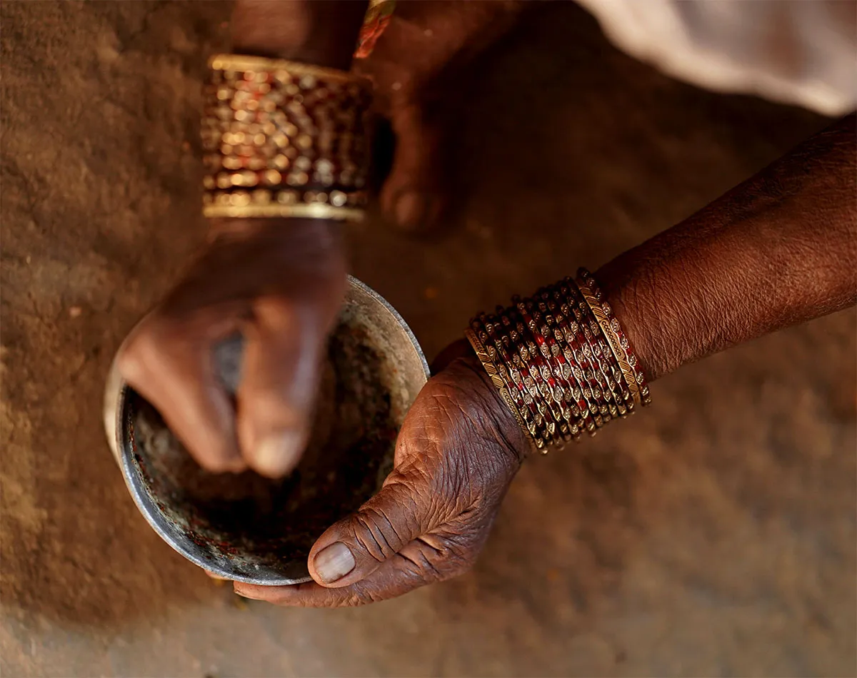 Erbe ayurvediche