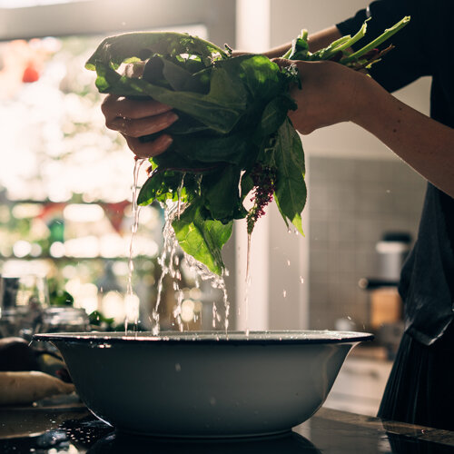 Verdure a foglia appena raccolte lavate sopra una bacinella d’acqua