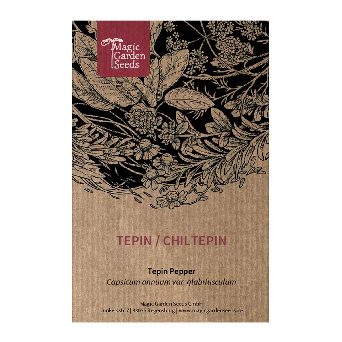 Tepin / Chiltepin (Capsicum glabriusculum) Samen