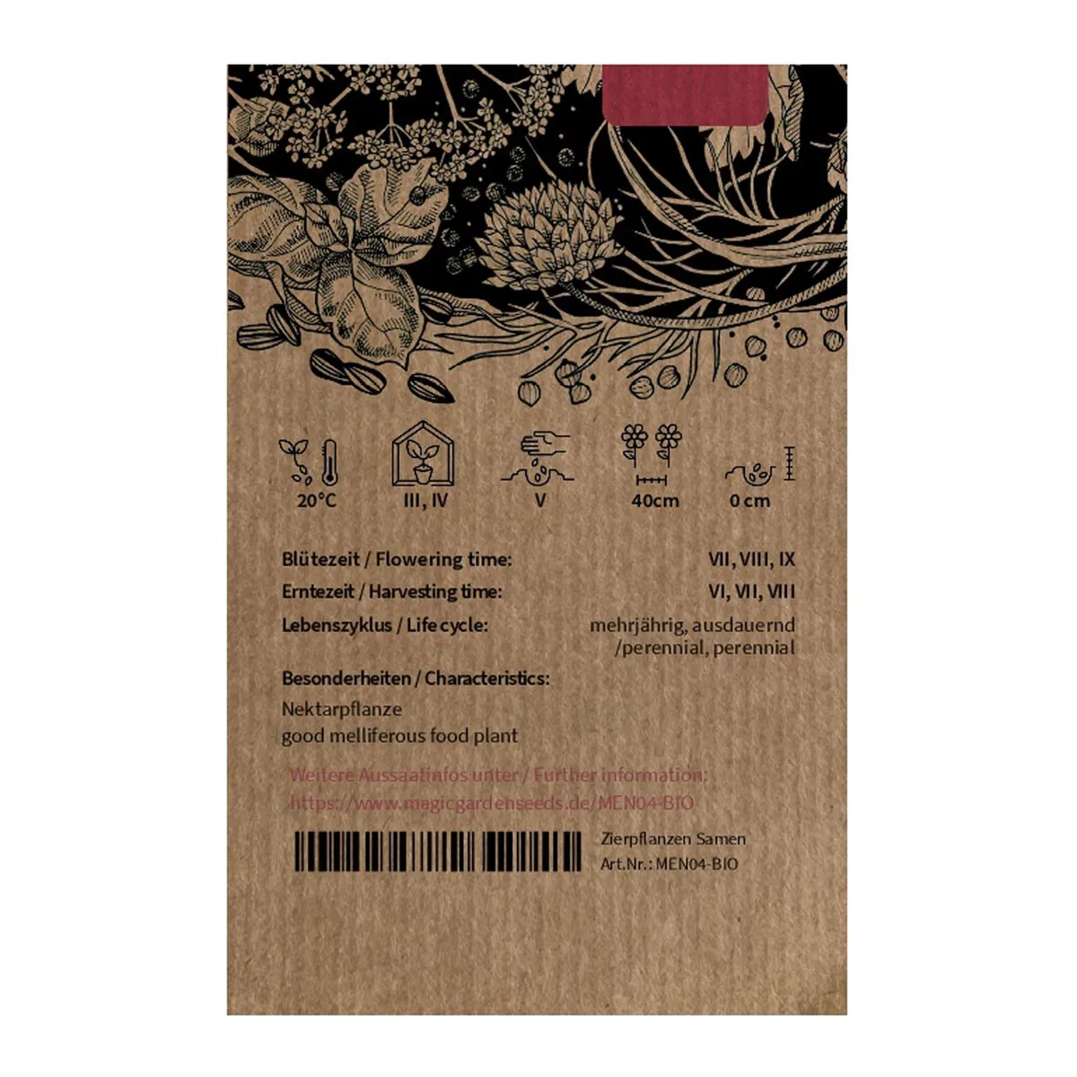 Rundblättrige Minze / Apfelminze (Mentha suaveolens) Bio Saatgut