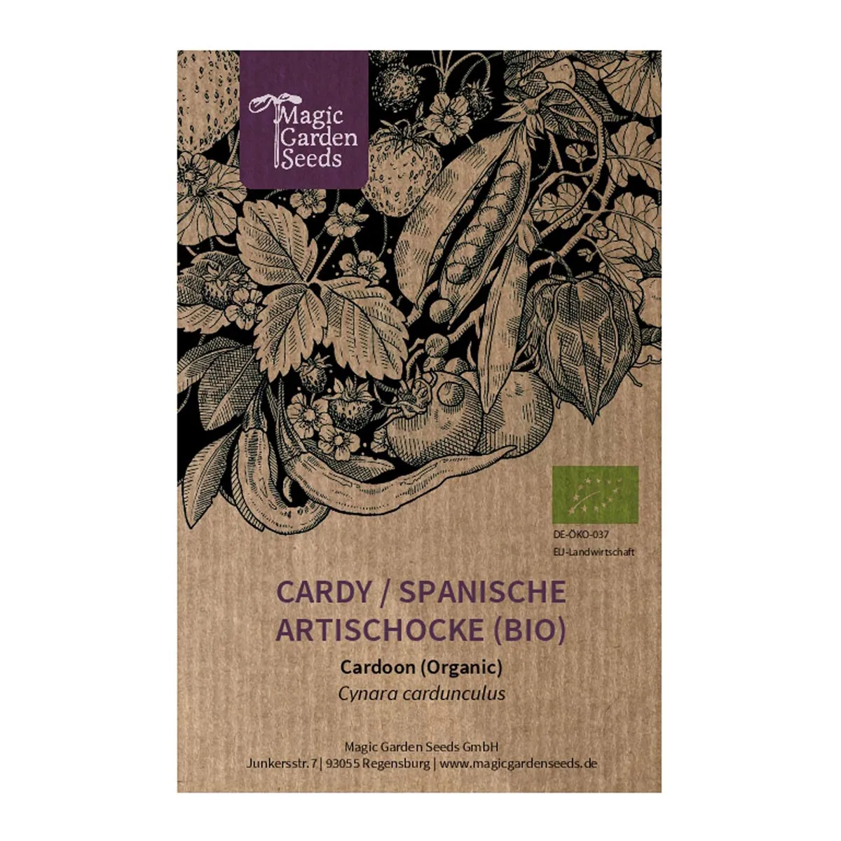 Cardy / Spanische Artischocke (Cynara cardunculus) Bio Saatgut