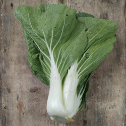 Pak choi raccolto con coste bianche su un fondo di legno