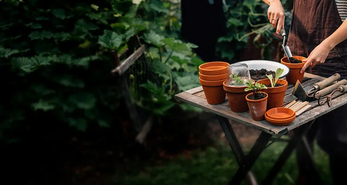 Tavolo da giardino con vasi di terracotta e piantine durante il rinvaso