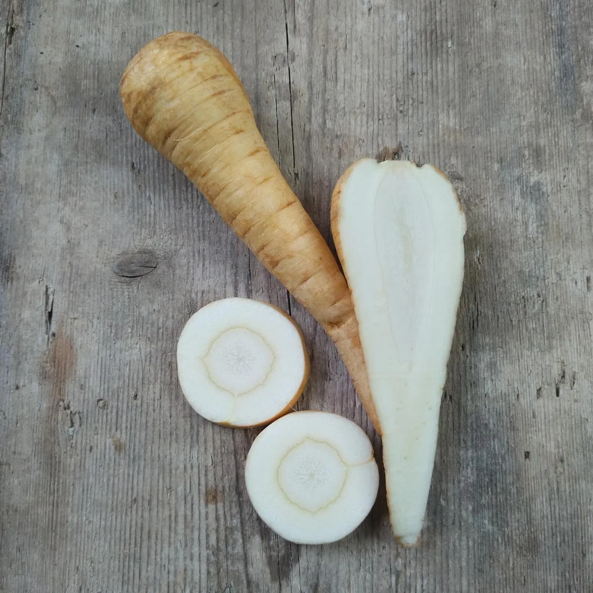 Pastinaken 'Halblange Weisse' (Pastinaca sativa) Bio Saatgut