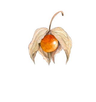 Semi di piante tropicali