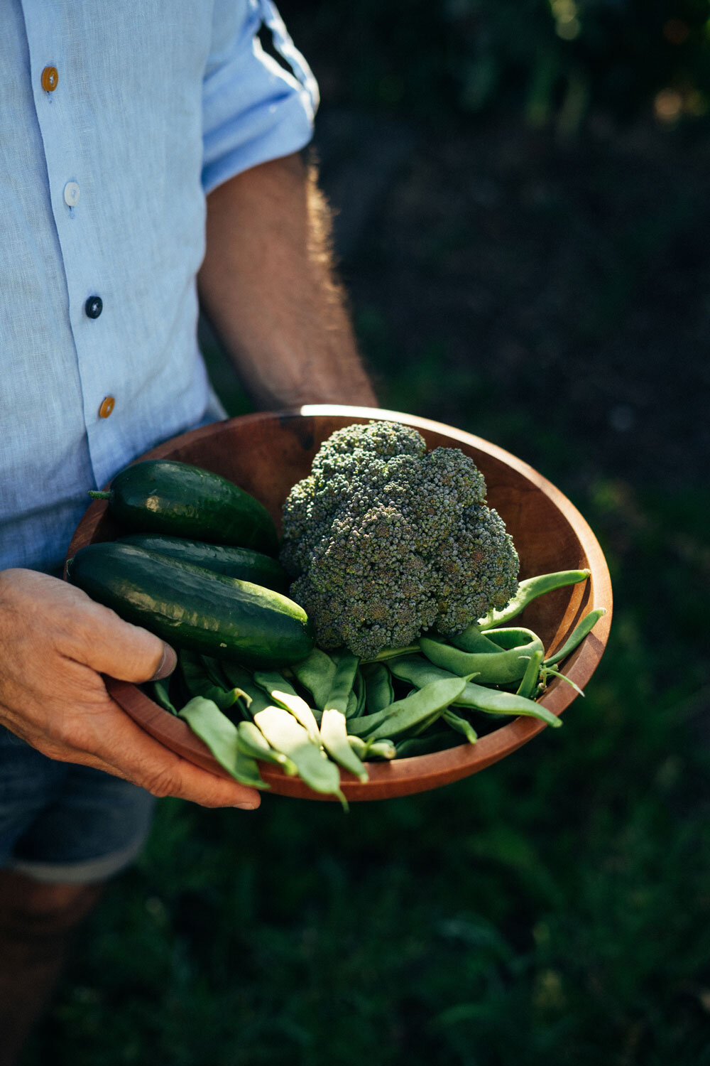 Ciotola di legno con broccolo, cetrioli e fagiolini appena raccolti in mano a un giardiniere