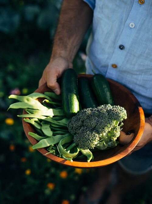 Ciotola di legno con verdure estive appena raccolte: fagiolini piatti, zucchine e broccolo