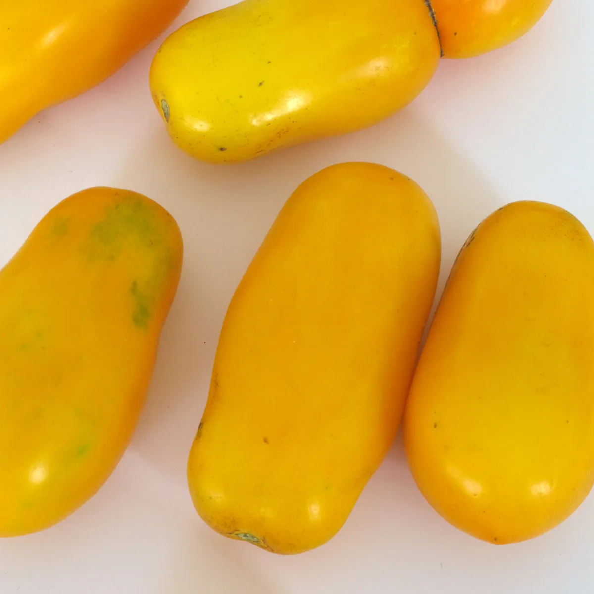 Gelbe Buschtomate 'Banana Legs' (Solanum lycopersicum) Samen