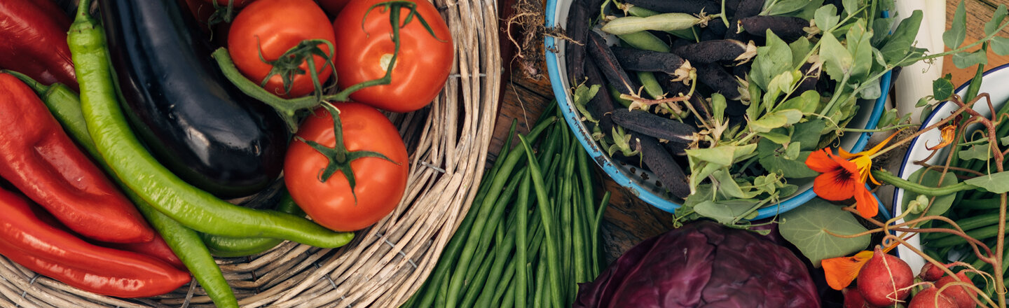 Verdure appena raccolte, presentate con cura su un tavolo