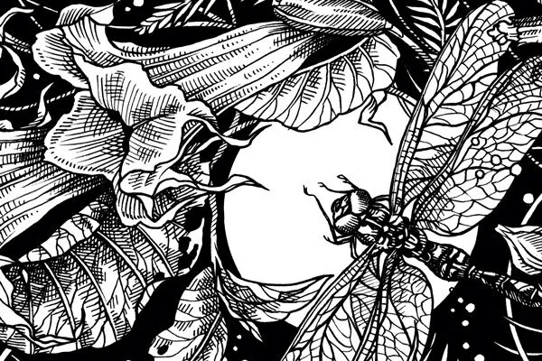 Illustrazione di una falena tra fiori notturni