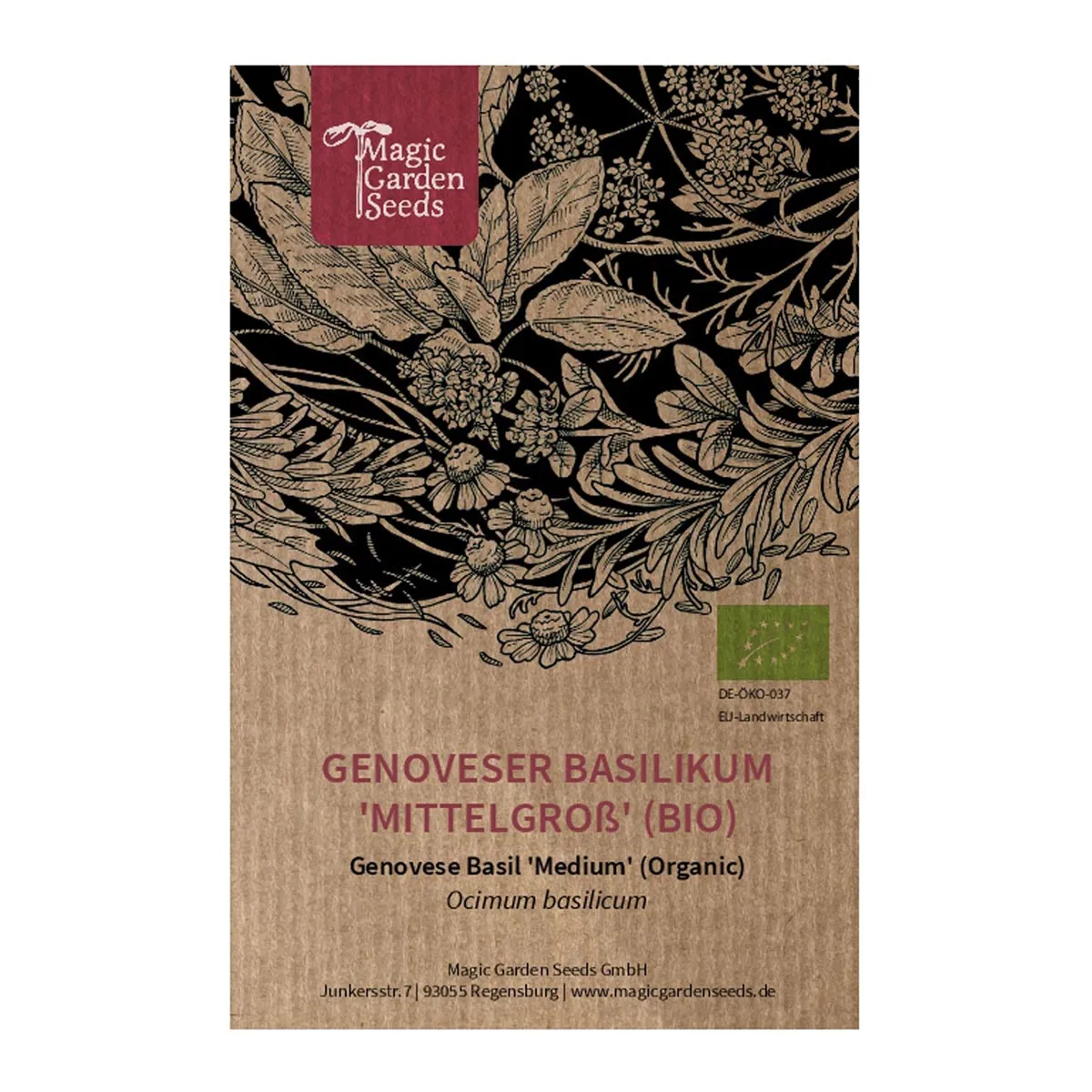 Genoveser Basilikum 'Mittelgroß' (Ocimum basilicum) Bio Saatgut