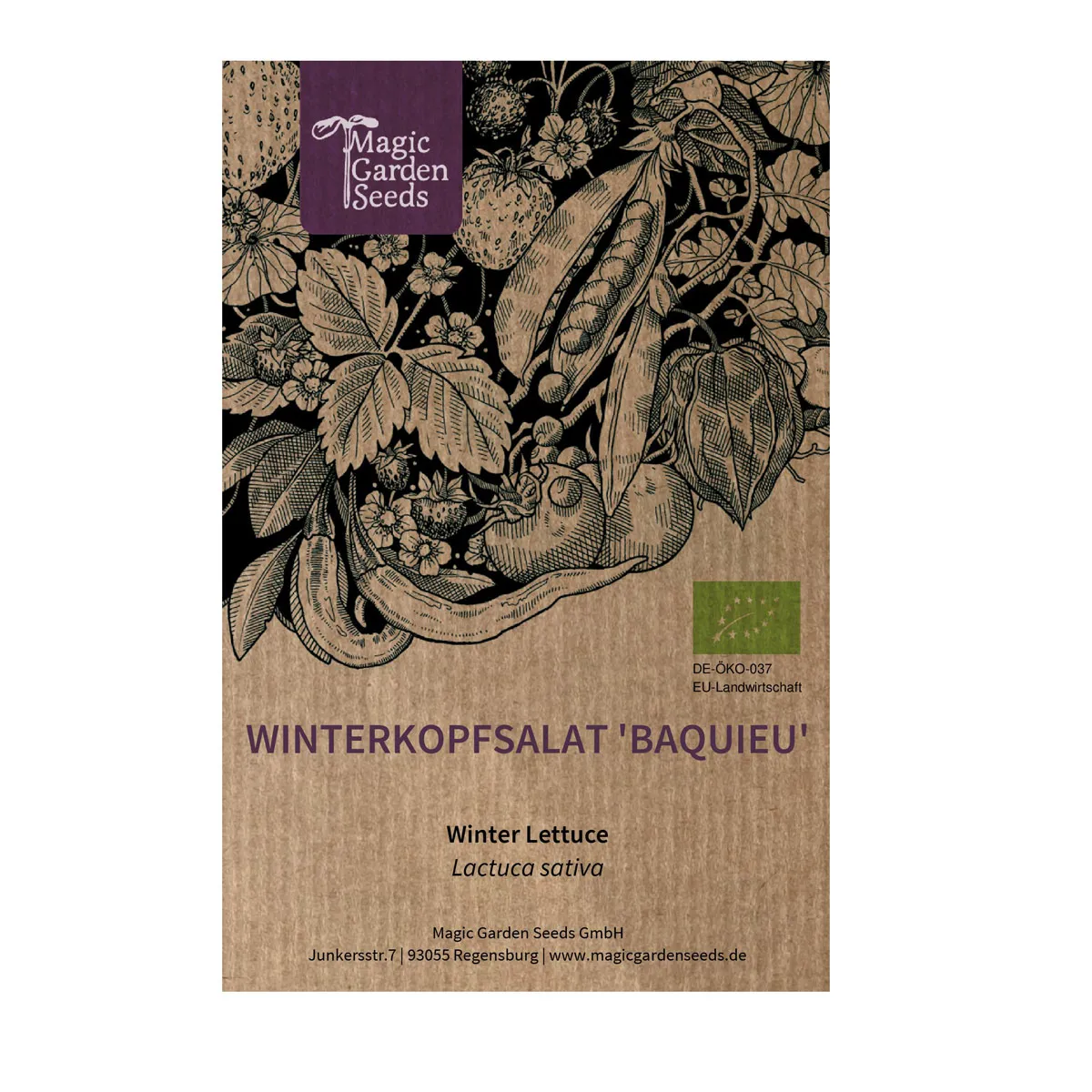 Winterkopfsalat 'Baquieu' (Lactuca sativa) Bio-Saatgut