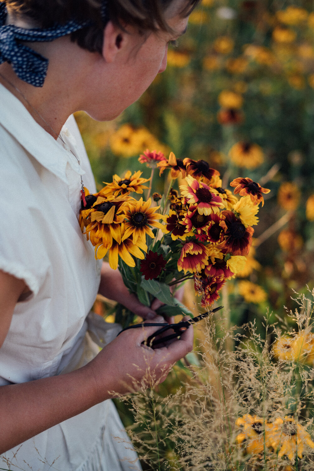 Una donna taglia fiori per un mazzo
