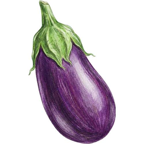 Melanzane