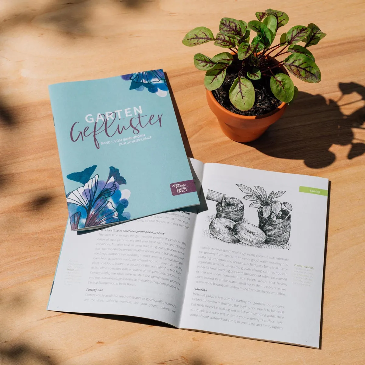 Violettes Gemüse - Samen-Geschenkset