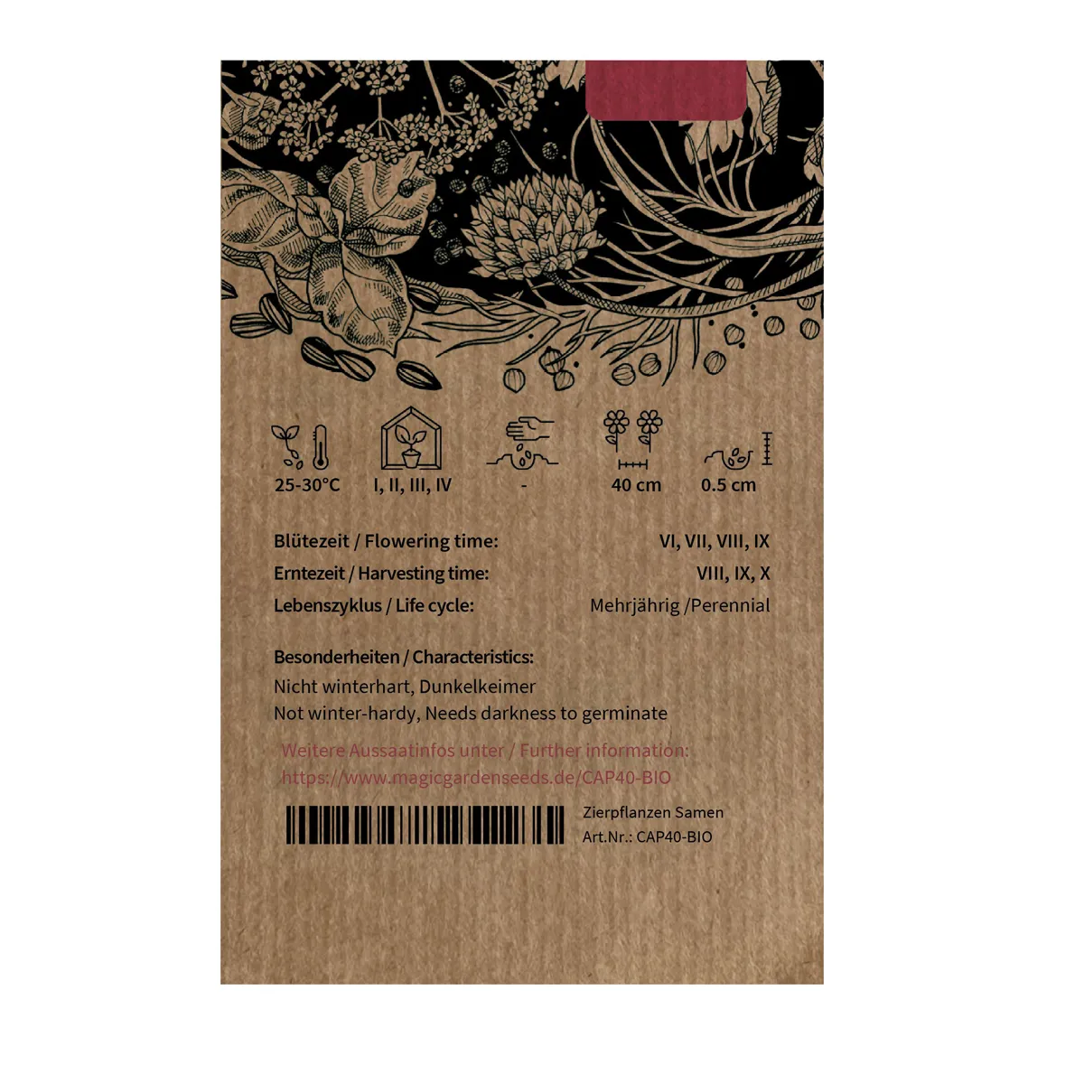 Chili 'Aji Delight' (Capsicum baccatum) Bio-Saatgut