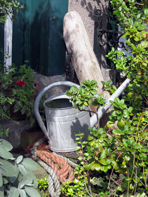 Annaffiatoio per irrigare il giardino