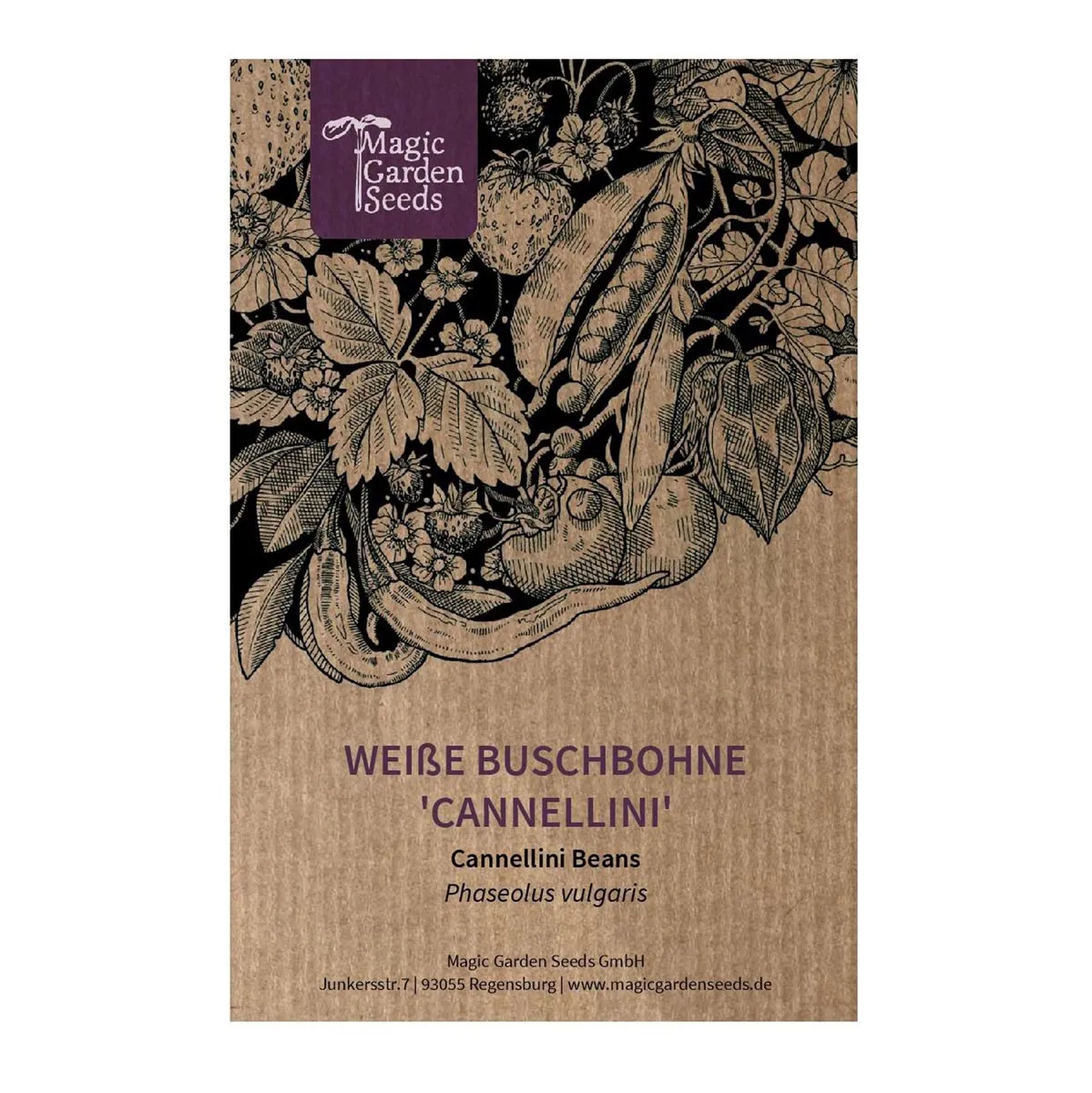 Weiße Buschbohne 'Cannellini' (Phaseolus vulgaris) Samen