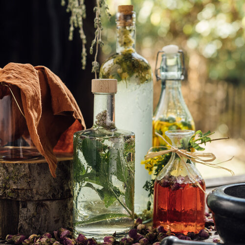 Erbe e fiori conservati in aceto e olio in bottiglie di vetro