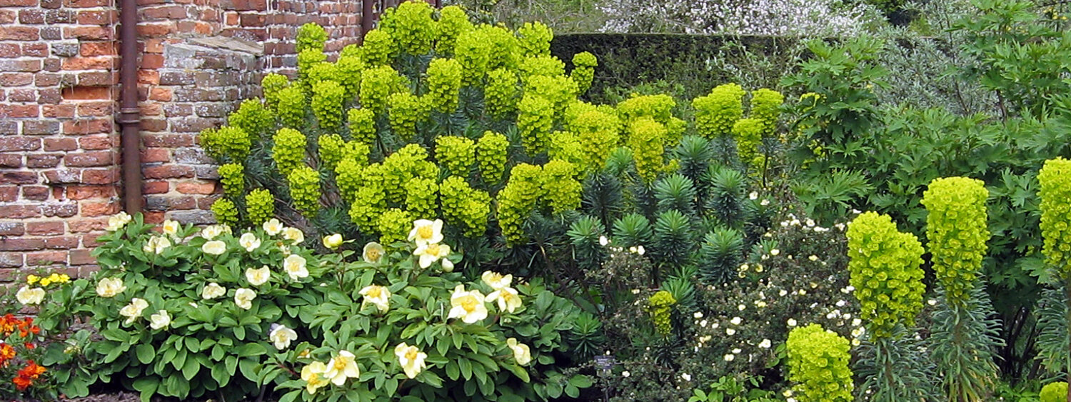 Aiuola di perenni a Sissinghurst