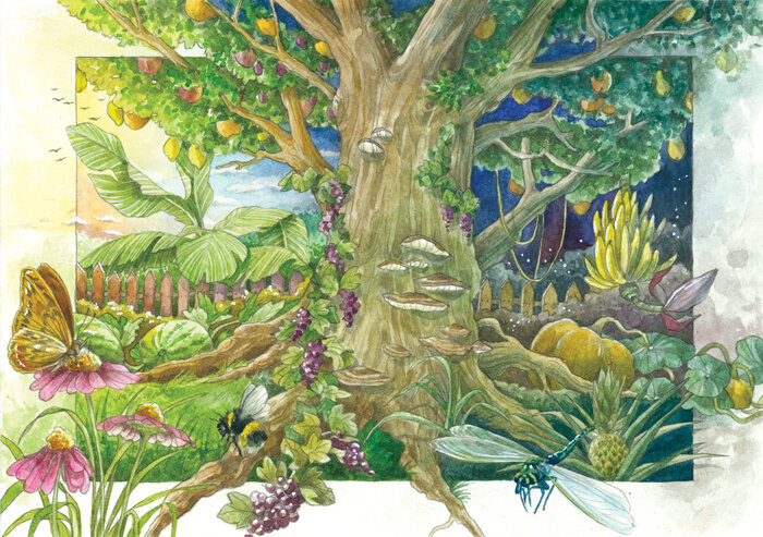 Illustrazione di un giardino magico: albero da frutto sotto cielo diurno e notturno, fiori, bombo e libellula