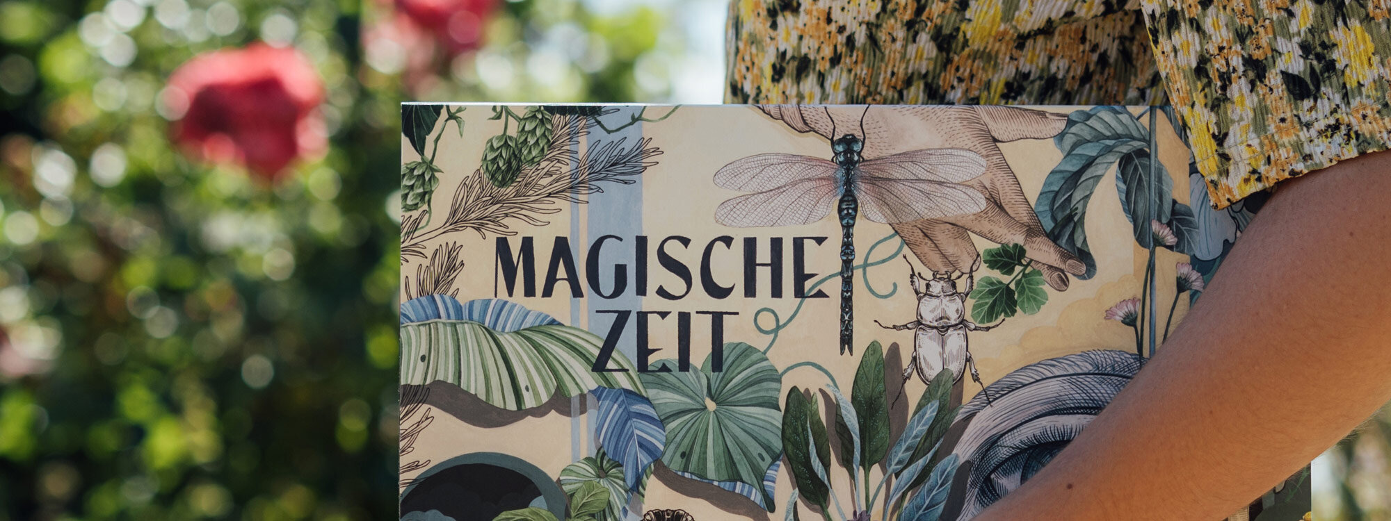 Scatola del calendario dell'Avvento di semi bio «Periodo Magico» Il meraviglioso mondo delle erbe con libellula e coleottero