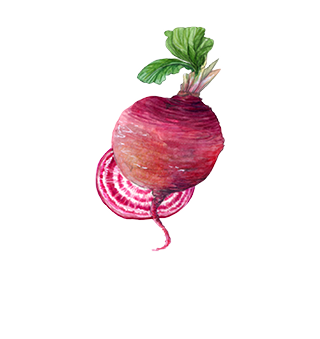 Semi di ortaggi
