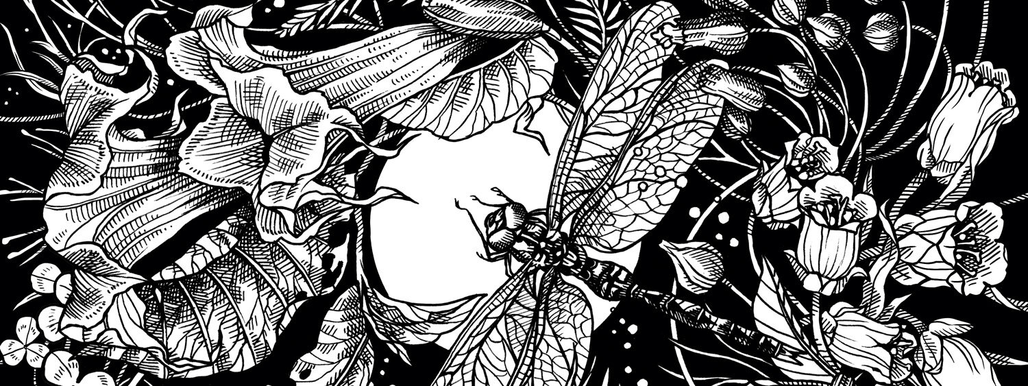 Illustrazione di un giardino lunare