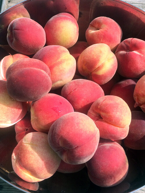 Pesche appena raccolte in una ciotola