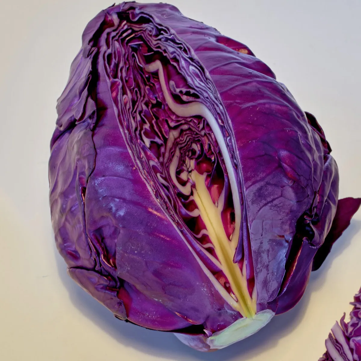 Roter Spitzkohl 'Kalibos' (Brassica oleracea) Samen