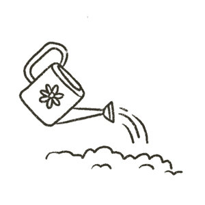 Annaffiatoio come simbolo dell'acqua durante la germinazione