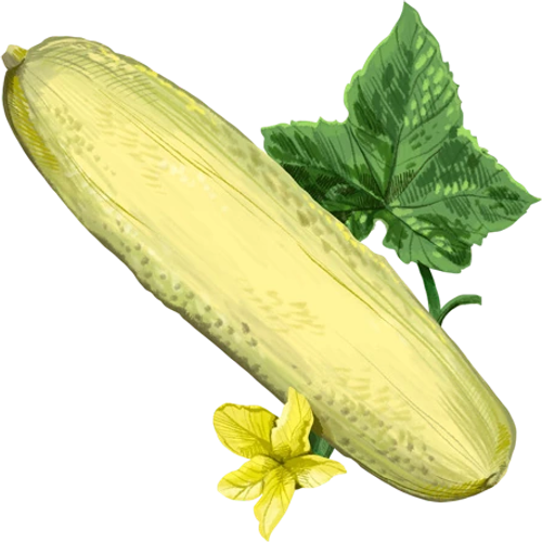 Cetrioli