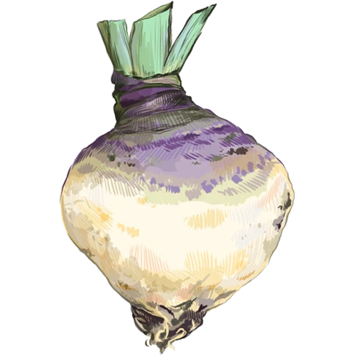 Tuberi - antiche varietà