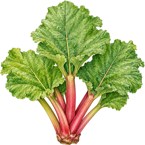 Altre specie da frutto