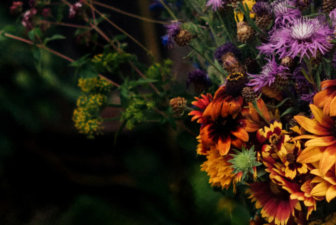 Mazzo colorato di echinacee, centauree e fiori selvatici