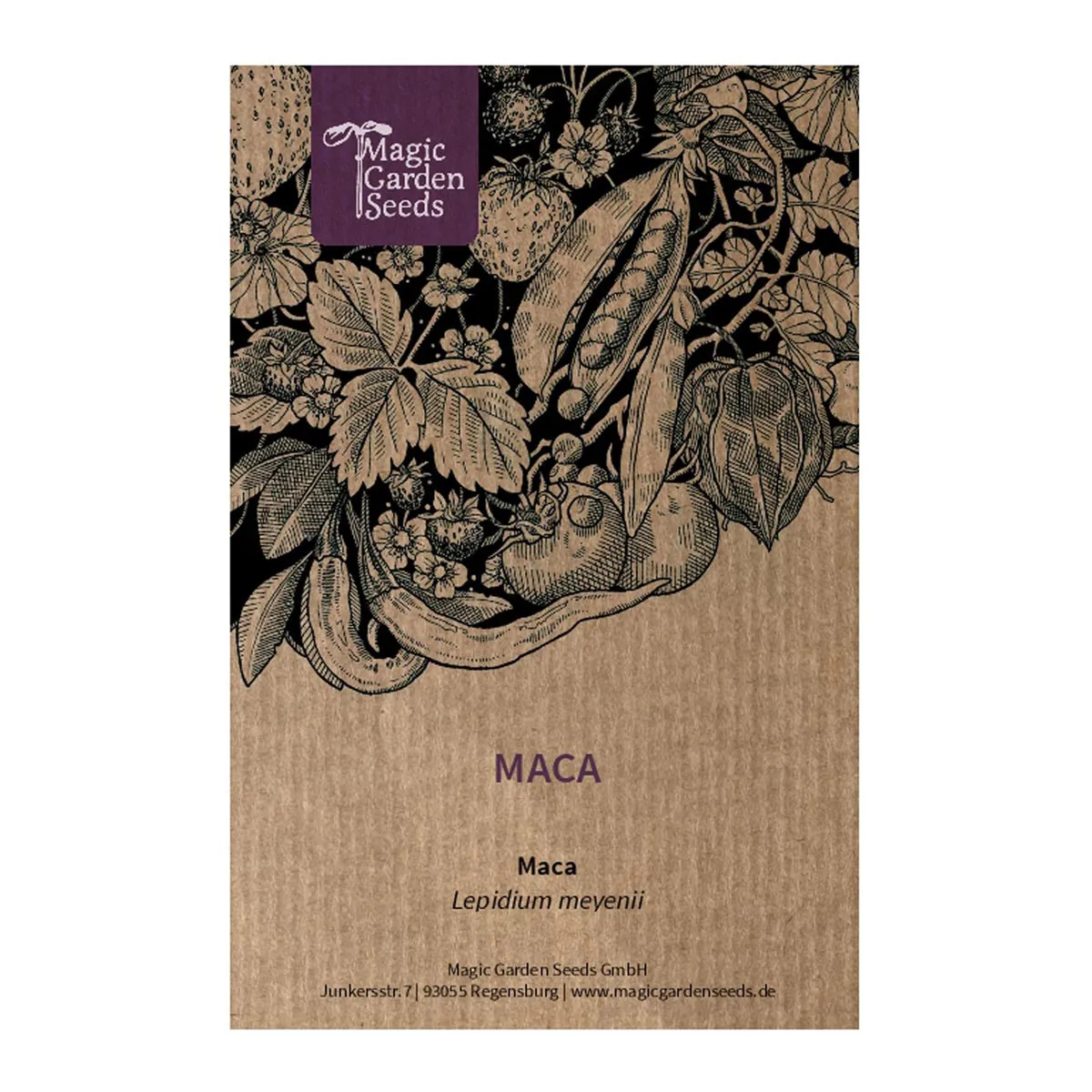 Maca (Lepidium meyenii) Samen