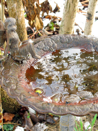 Vaschetta per uccelli decorata con statuina e acqua nel giardino invernale