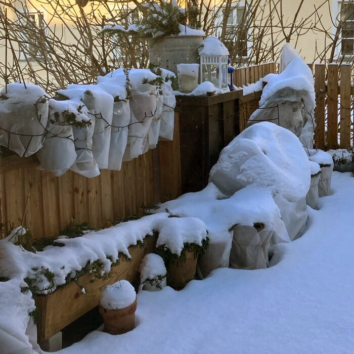 Piante in vaso e in fioriera avvolte nel tessuto non tessuto accanto allo steccato di un balcone innevato