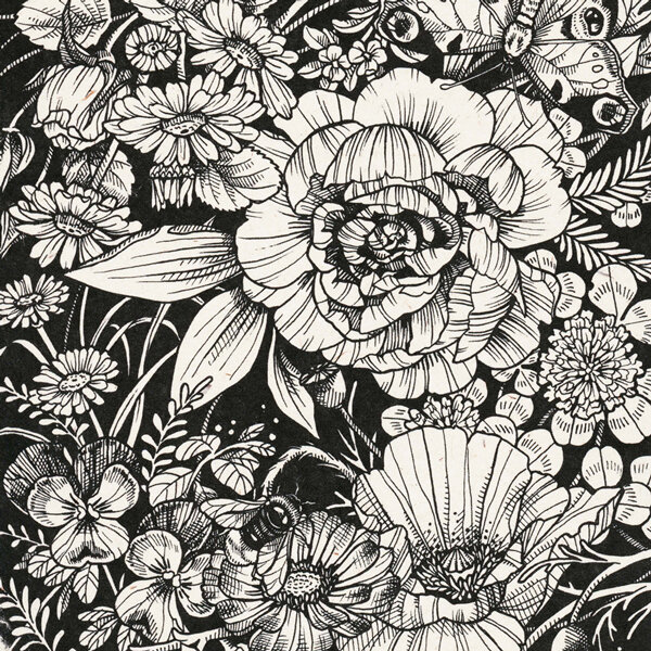 Disegno in bianco e nero di fiori fitti con un’ape e una farfalla