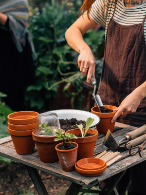Semina anticipata per il giardino