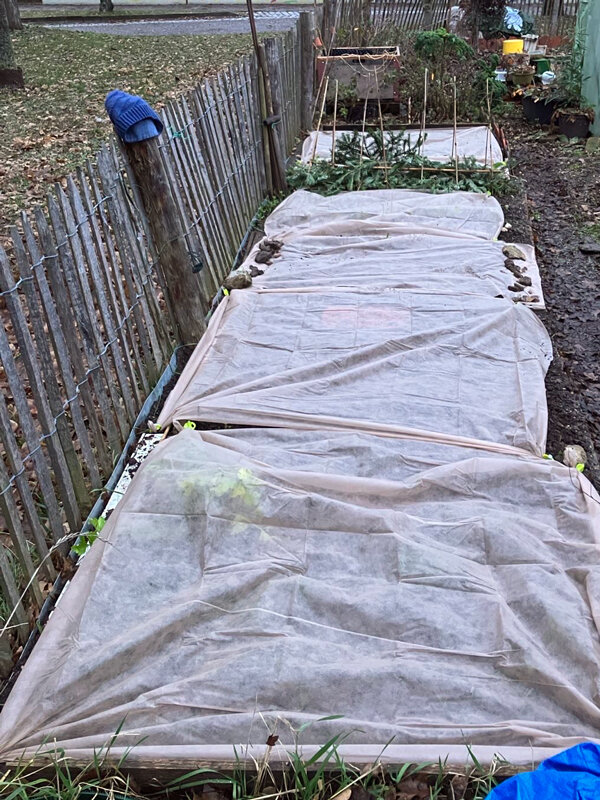 Aiuole coperte con tessuto non tessuto per proteggerle dalle gelate tardive