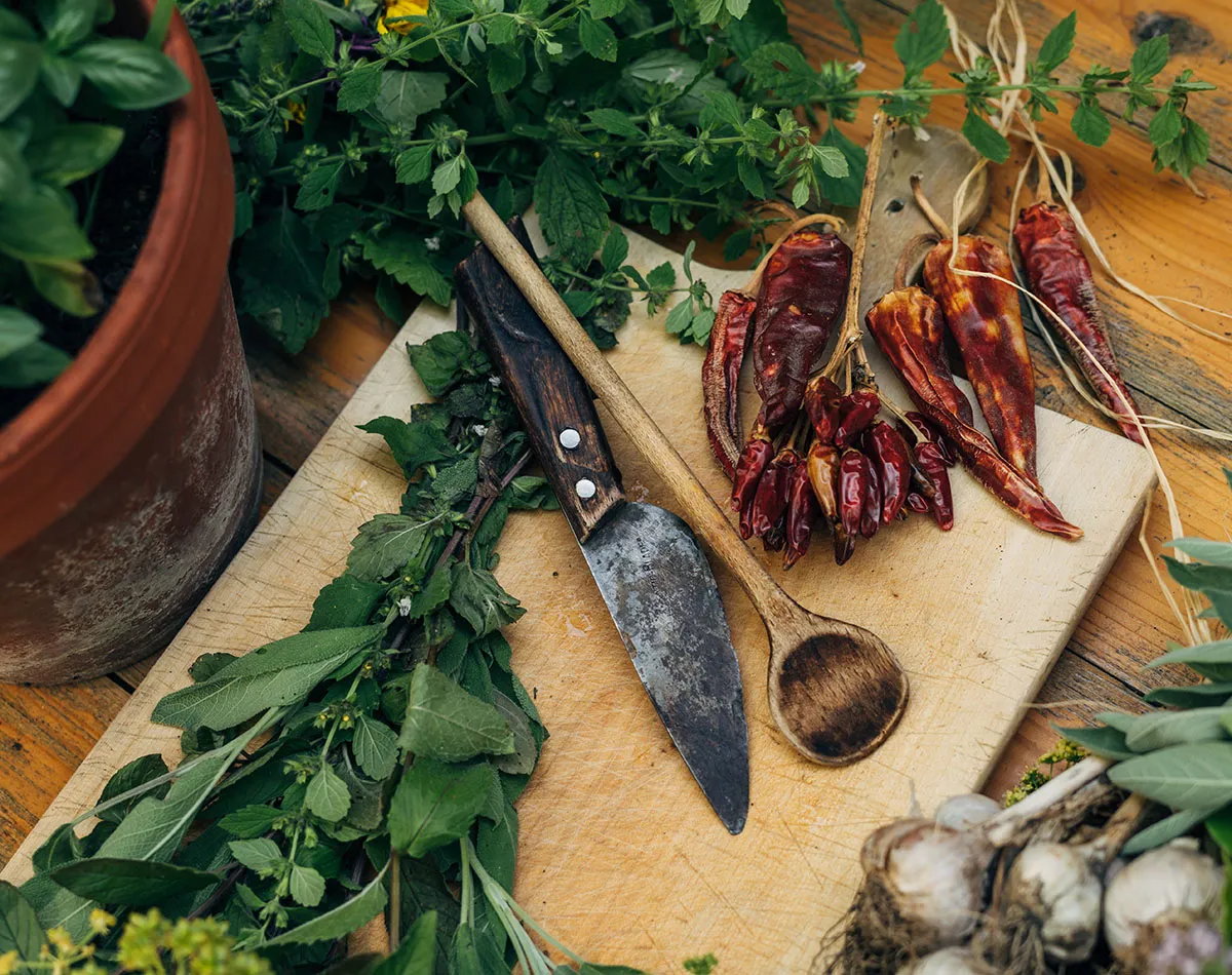 Aromatico