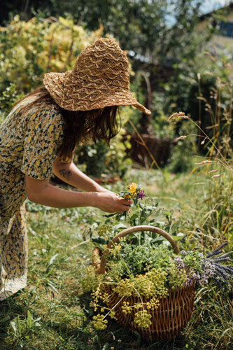 Donna con cappello di paglia raccoglie erbe e fiori selvatici in un cesto di vimini