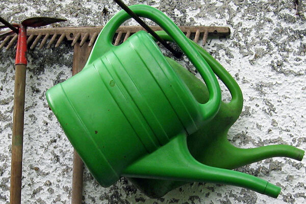 L’irrigazione sostenibile sul balcone – come prenderti cura delle tue piante in armonia con la natura - Innaffiare correttamente le piante del balcone: irrigazione sostenibile resa facile