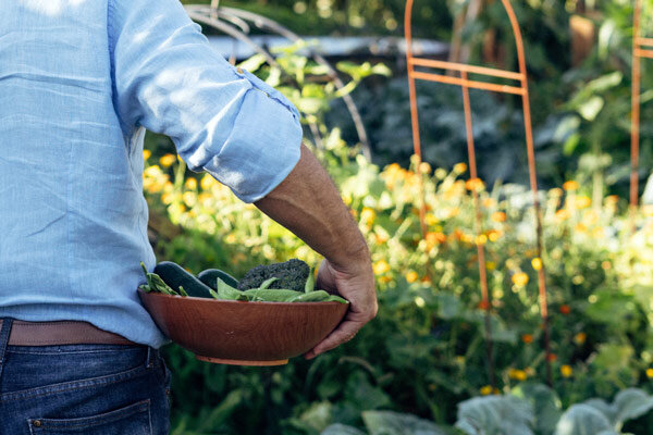 Dopo il raccolto si prepara il prossimo: come prolungare il periodo di raccolta con semine scalari - Semina scalare in estate: come prolungare il periodo di raccolta